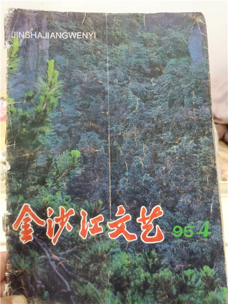 第一篇小說《小鳥》發(fā)表在1995年第4期《金沙江文藝》